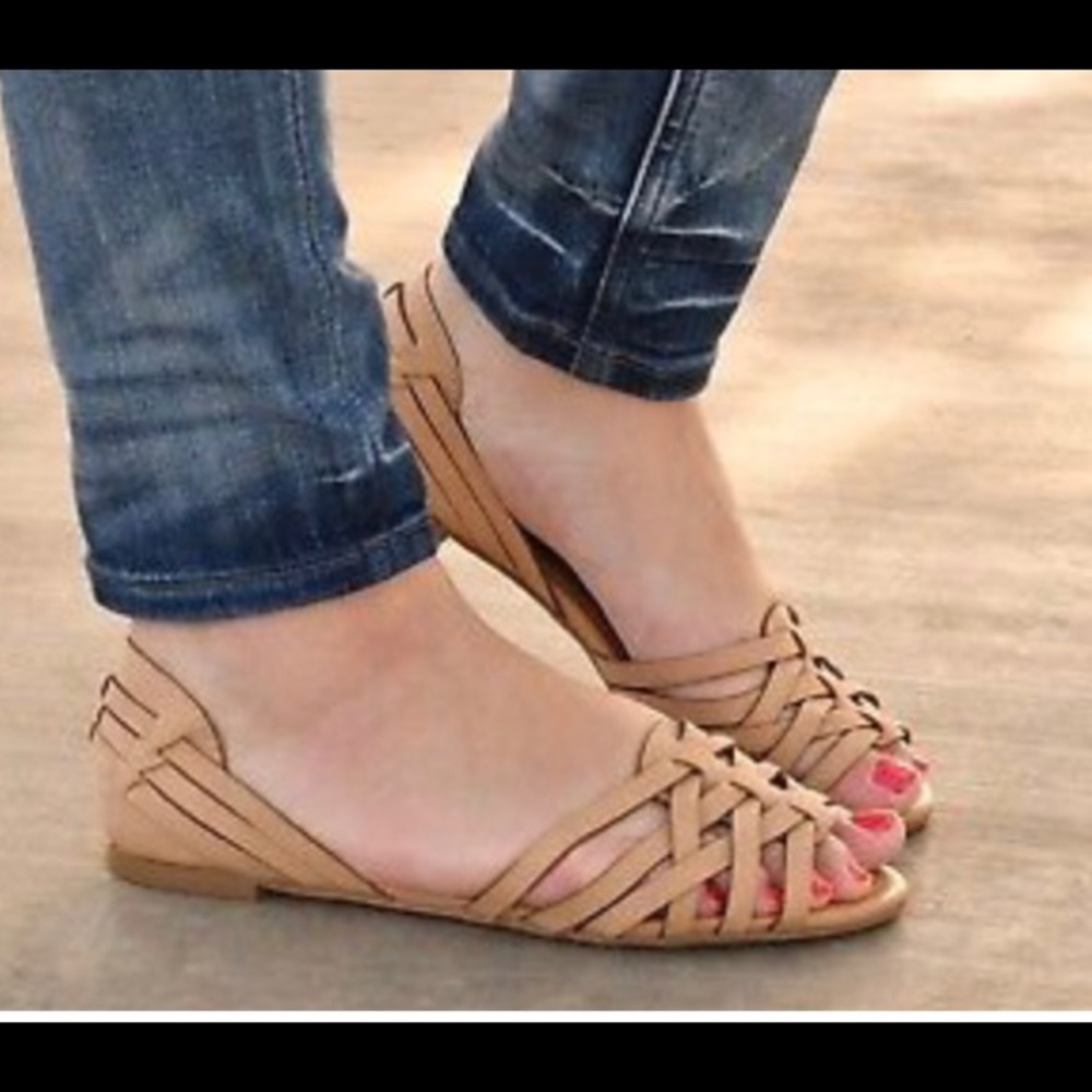 gladiator sandals